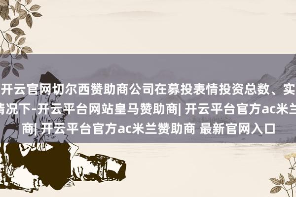 开云官网切尔西赞助商公司在募投表情投资总数、实檀越体及内容不变的情况下-开云平台网站皇马赞助商| 开云平台官方ac米兰赞助商 最新官网入口